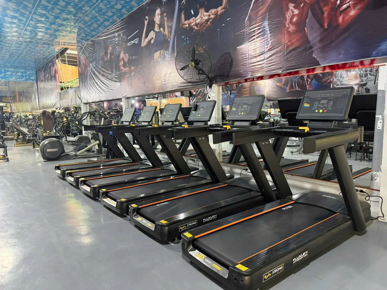 GYM LÚA SPORT 